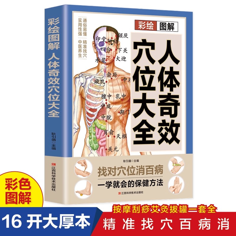 Health & Wellness Tourism - 경혈 마사지 및 TCM 건강 보존
