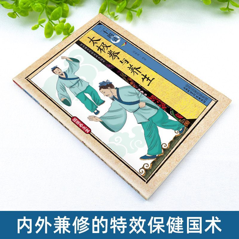 24가지 스타일의 태극권과 건강 운동 일러스트레이션된  - Health & Wellness Tourism 리뷰 및 가격