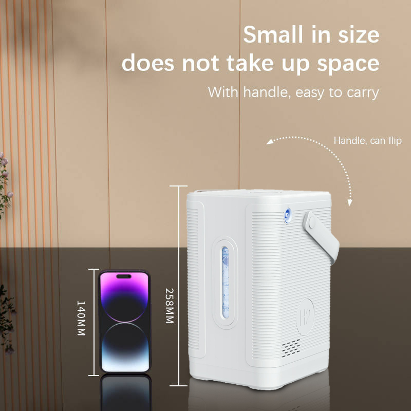 드롭쉬핑 SPE PEM 수소 흡입기 99.99% 고순도 - Health Wellness Home Care 리뷰 및 가격