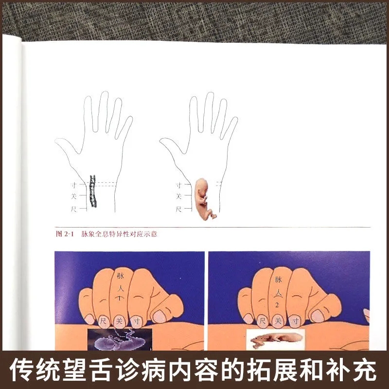 혀 진단 통합 이론: 건강 평가를 위한 TCM 혀 읽기 - Holistic Health & Wellness 리뷰 및 가격
