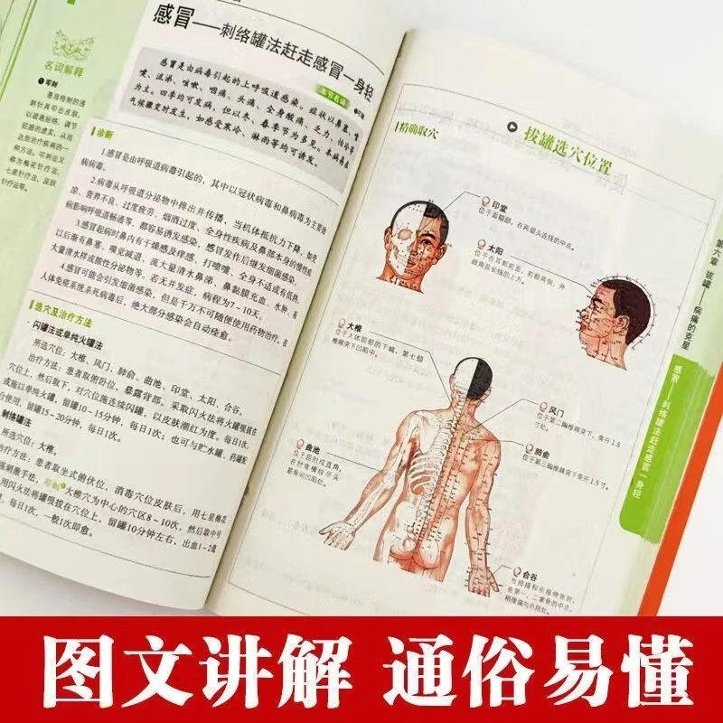 전신 건강 및 웰니스 시리즈: 이경, 풍수, 황디 네이 - Holistic Health & Wellness 리뷰 및 가격
