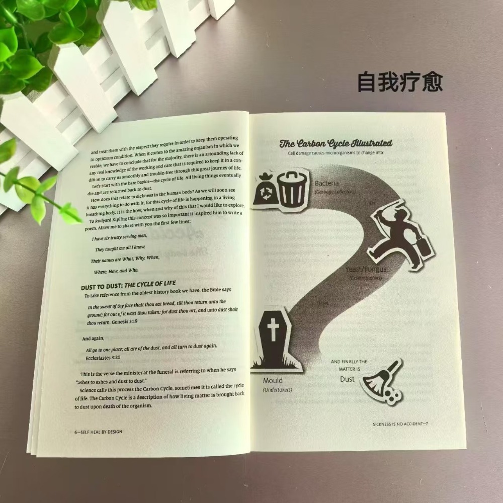 Self Heal By Design 영어 단행본 자연적 - Health Wellness Home Care 리뷰 및 가격