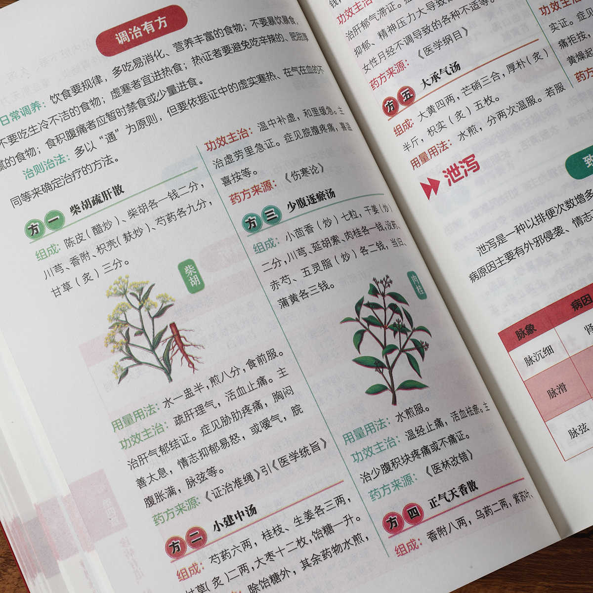 맥박 진단 자율 학습 100일 과정, 전통 중국 의학  - Health & Wellness Tourism 리뷰 및 가격